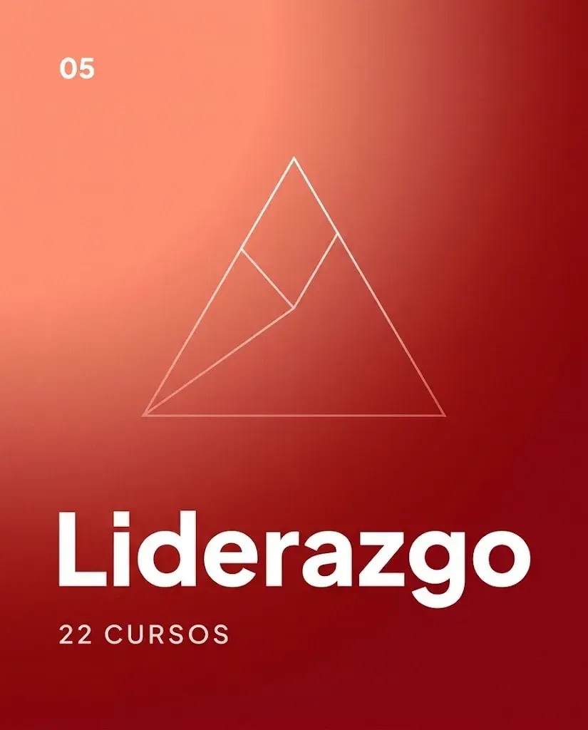 Liderazgo